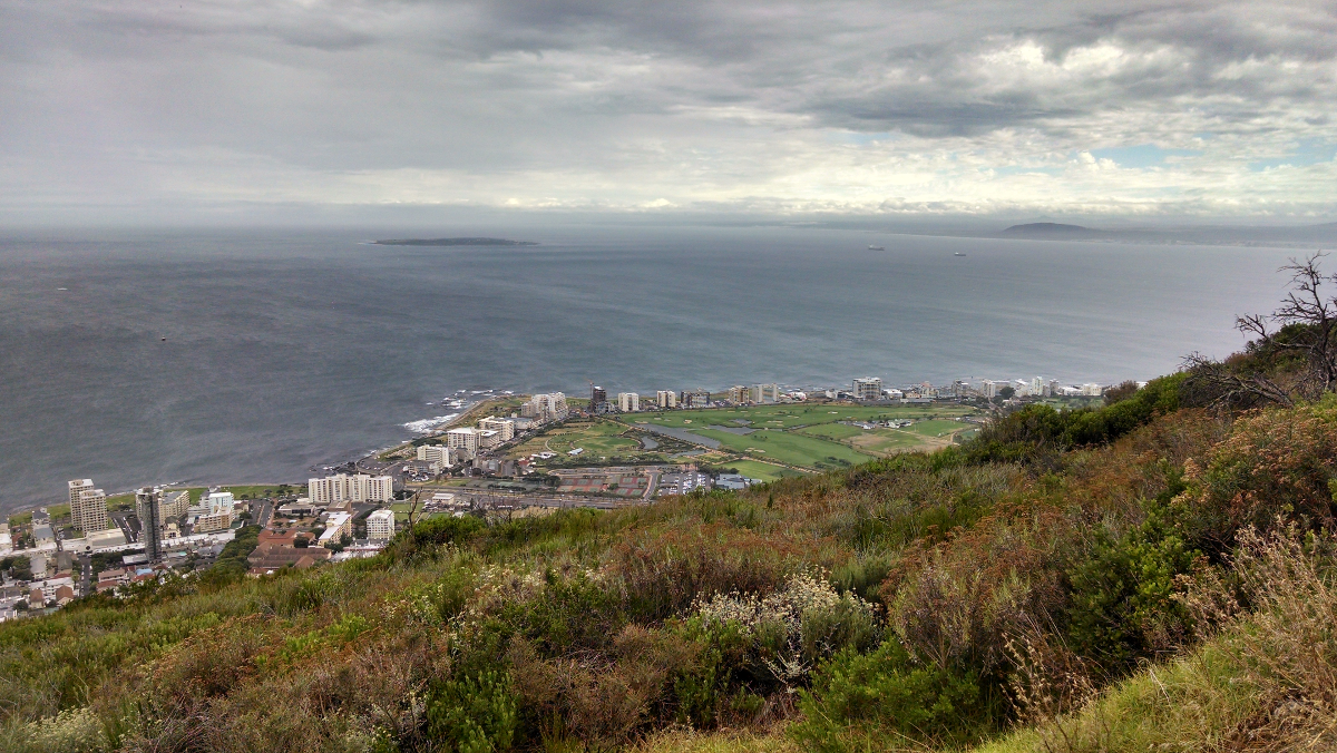 Signal Hill Picture