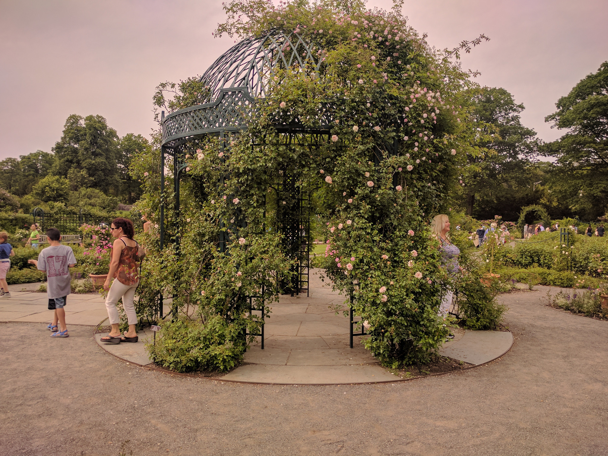 NYBG Rose Garden