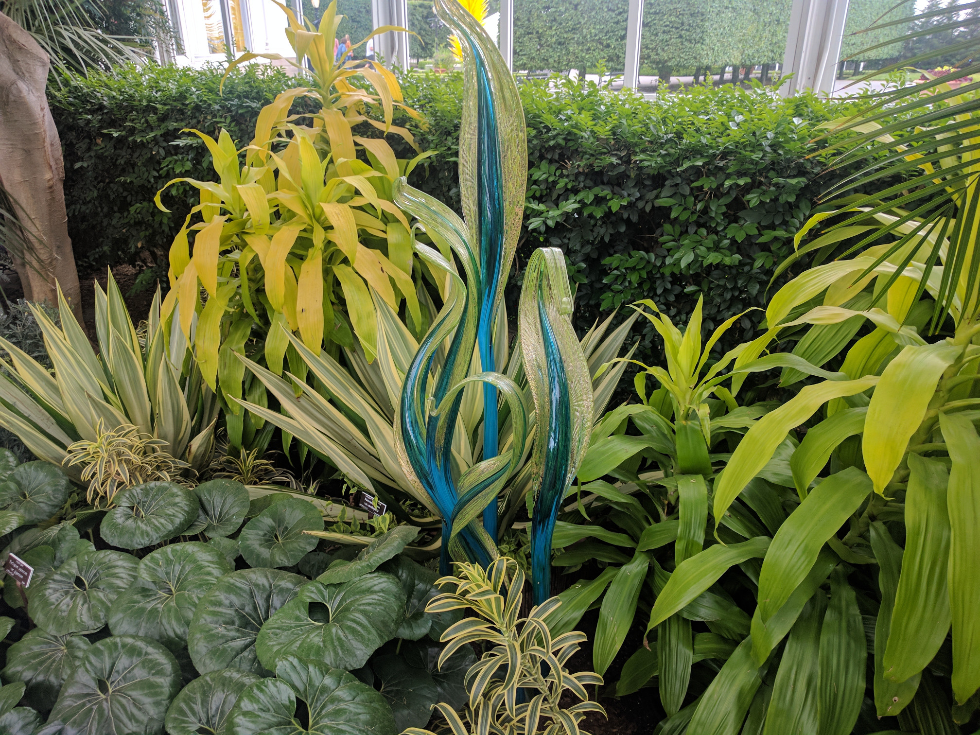 NYBG Glass Chihuly Plant